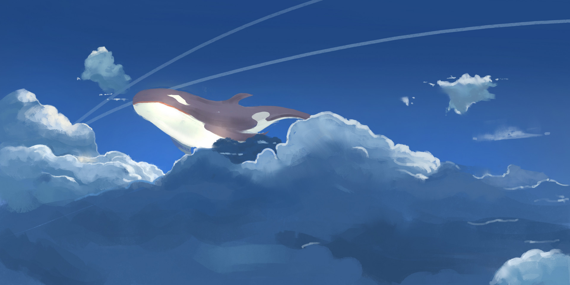 飞往云端的梦