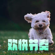 儿童欢快节奏